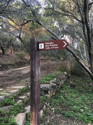 Killer hikes in the area  at A Tribo in Barao De Sao Joao