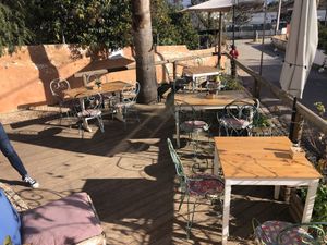Terrace with palm tree growing through it  at A Tribo in Barao De Sao Joao