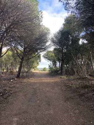Hiking in the hills after lunch  at A Tribo in Barao De Sao Joao