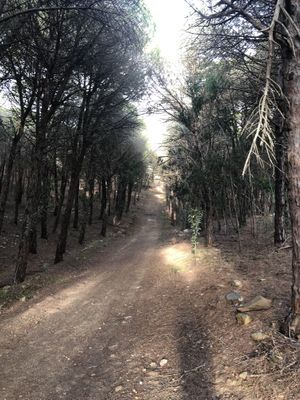 Still hiking  at A Tribo in Barao De Sao Joao