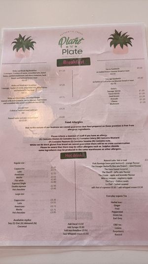 Menu at Plant N Vibe – Street Food by Plant N Plate in Birmingham