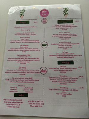 Menu 2 at Plant N Vibe – Street Food by Plant N Plate in Birmingham
