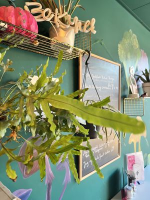   at Plant N Vibe – Street Food by Plant N Plate in Birmingham