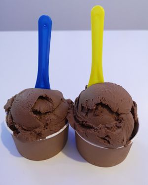 Vegan Nutella Ice Cream at Donut Worry in East Victoria Park