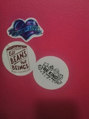 Beans not beings | bathroom stickers at The Fussy Vegan - Greenside in Johannesburg