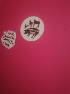 I don't eat my homies | bathroom stickers at The Fussy Vegan - Greenside in Johannesburg