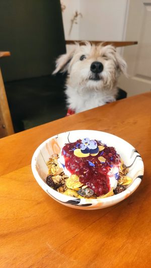 Homemade granola at The Garden Cafe & Restaurant in Budapest