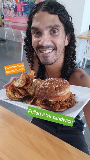 Pulled pork sandwich
With sliced fried potatoes at 100% HP in San Juan