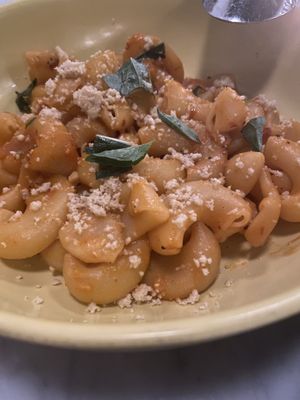 Elbows + vodka sauce at Sestina - Culver City in Culver City