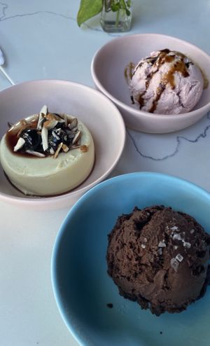 Pannacotta & gelatos   at Sestina - Culver City in Culver City