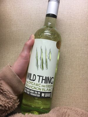 Organic wine  at Earthfare in Glastonbury