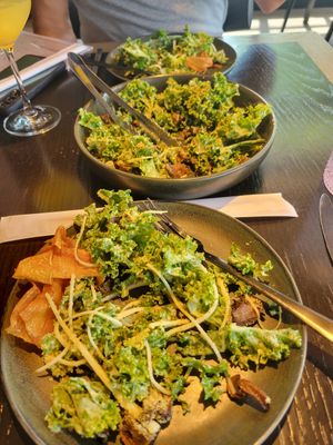 Cesar at PLANTA Queen  in Coconut Grove