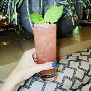   at PLANTA Queen  in Coconut Grove