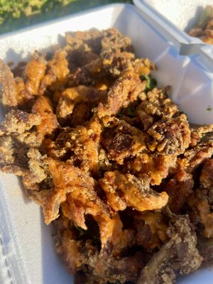 Oyster mushroom platterr  at Vegan Time Cafe in Stone Mountain