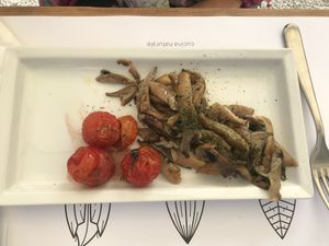 Pleurotus mushrooms  at Nativa in Rome