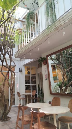  at La Cabra Iluminada in San Miguel De Allende