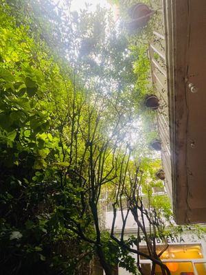  at La Cabra Iluminada in San Miguel De Allende