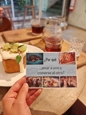  at La Cabra Iluminada in San Miguel De Allende