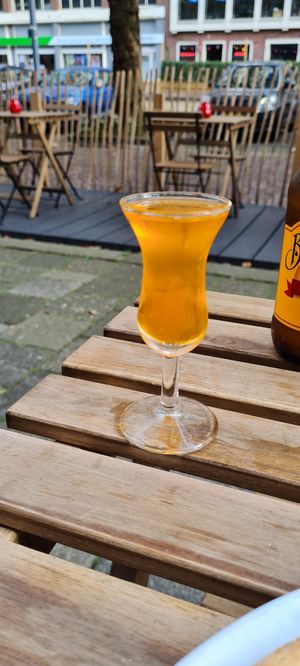  at Vegan Pizza Bar in Rotterdam