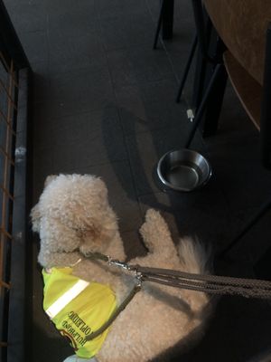 She got served her complimentary beverage in seconds😌✨  at Vegan Pizza Bar in Rotterdam