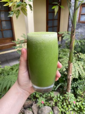 suco verde  at Annapoorna in Rio De Janeiro