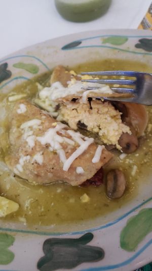 Vegan enchiladas with tofu and mushrooms at El México de Frida in San Luis Potosi