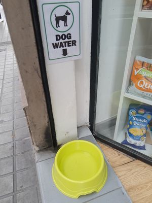 Pets welcome at Som Vegans in Barcelona