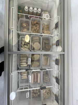 Freeze  at Som Vegans in Barcelona