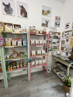   at Som Vegans in Barcelona