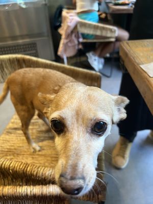   at Ojo de Maíz in Mexico City