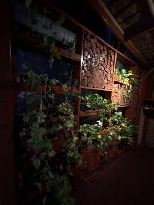 Your  at Haoma in Bangkok