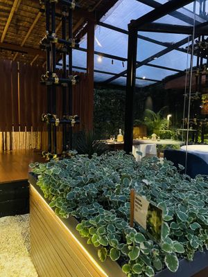 Garden   at Haoma in Bangkok