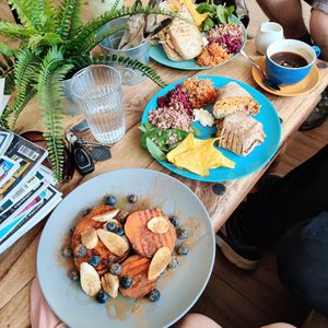 Diversity of plants at The V Hub in Swansea