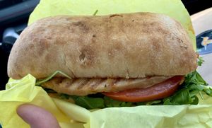 The Basic Birdie with Buffalo sauce at Early Bird Vegan in Tempe