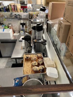 Fresh cinnamon rolls. at Early Bird Vegan in Tempe