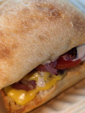 THE ADULT GRILLED CHEEZ at Early Bird Vegan in Tempe