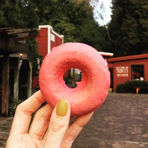 Vegan Vanilla Raspberry Donut at Flour Craft Bakery in Mill Valley