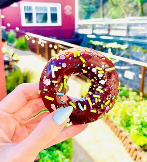 Vegan chocolate donut with chocolate frosting and rainbow sprinkles   at Flour Craft Bakery in Mill Valley