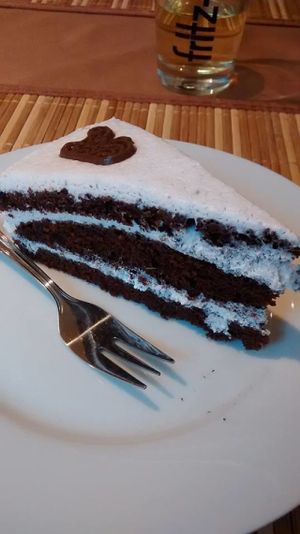 Chocolate layer-cake for dessert, delicious! at Loving Hut in Hamburg