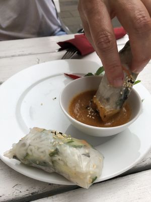 Rice paper rolls with the most delicious dipping sauce at Loving Hut in Hamburg