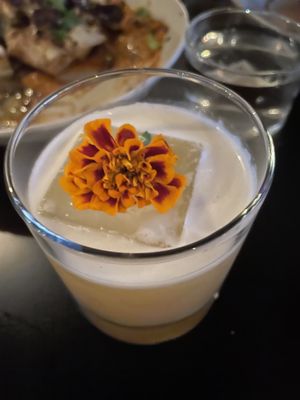   at Tellus Joe in Austin