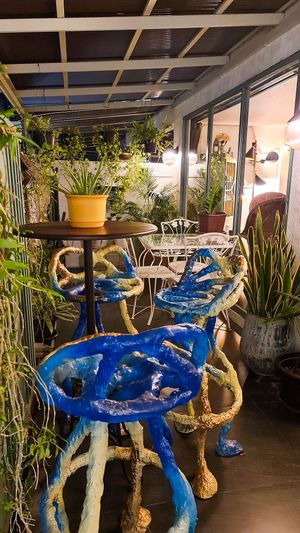 Outdoor seating  at Golden State Vegan Sushi in Bangkok