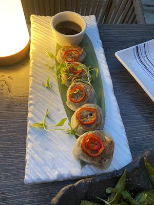 mushroom gyoza 💕💕  at Takato in Fort Lauderdale