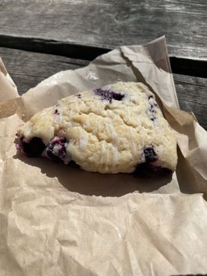 Blueberry scone vegan at Source Coffeehouse in Bridgeport