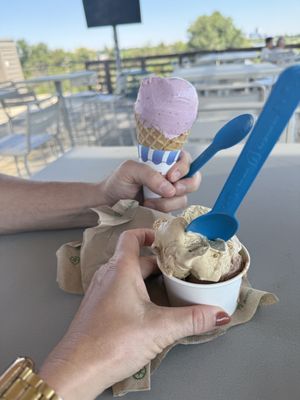 New Zealand in the back (not vegan) and vegan gelato (caramel coffee and chocolate)  at Happy Cones Co in Edgewater