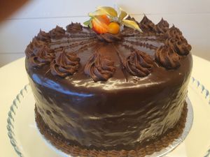 Chocolate gateau at Vegan Earth in Ayr