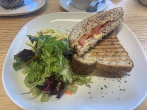   at Vegan Earth in Ayr