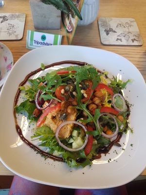 Buddha Bowl at Vegan Earth in Ayr