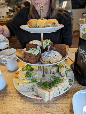  at Vegan Earth in Ayr