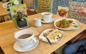 Tasty, tasty, tasty. at Vegan Earth in Ayr